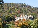 Airthrey & Hermitage Wood